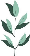 Illustration of plant