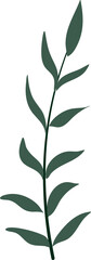 Fototapeta premium Illustration of plant