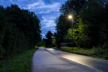bicycle road made of asphalt early in the morning in the middle of forrest with light from a...