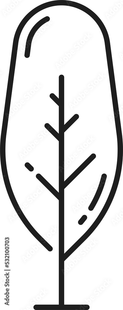 Sticker poplar, cypress or thuja forest tree outline icon