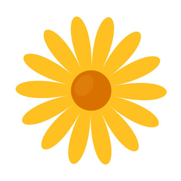 yellow daisy flowers flat vector illustration clipart isolated on white background