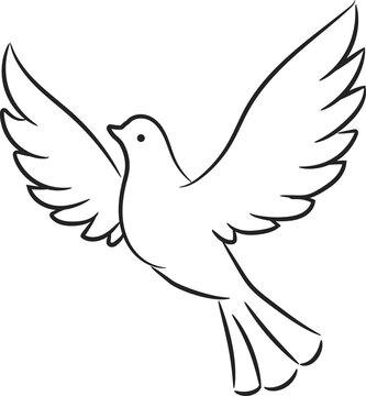 White dove isolated peace and eternal love symbol