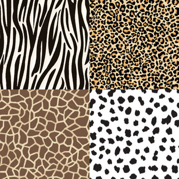 Animal skin. Set of seamless animal patterns: leopard, zebra, giraffe, dalmatian. Natural camouflage, spotted fur texture. Abstract exotic pattern for fabric and fashion design.