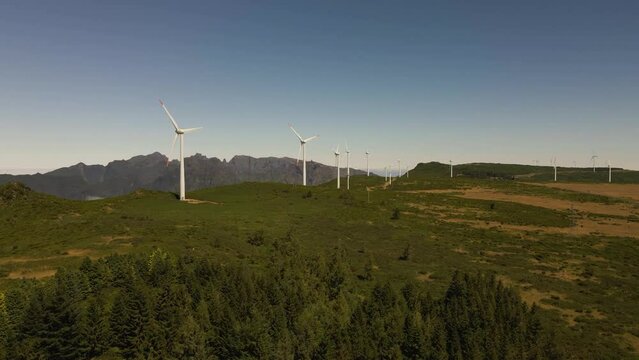 Aerial view if a wind farm in the top of the madeira island mountains. Drone moving  to the left showing the several wind towers and the top of some pine trees. 4K, 60fps