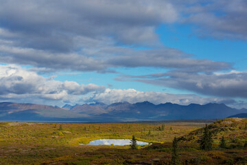 Autumn in polar tundra