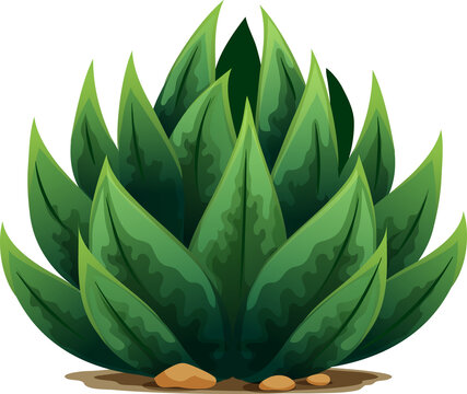 Plant pelmeri agave americana cactus cartoon icon