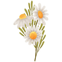 flower isolated on white PNG Clipart Illustration