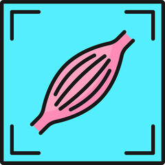 MRI diagnostics, musculoskeletal radiology scan