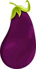 Eggplant veggie foo, aubergine in cartoon design
