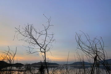 Obraz premium Silhouette of dried tree at lake with twilight sky background