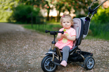 Cute adorable toddler girl sitting on pushing bicycle or tricycle. Little baby child going for a walk with parents on sunny day. Happy healthy kid in colorful clothes