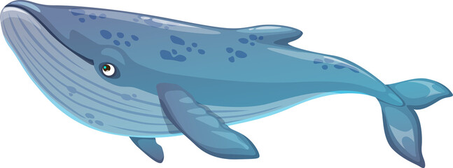 Blue whale underwater animal, vector sea mammal