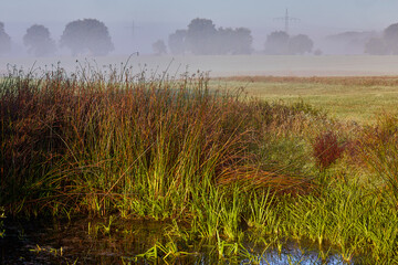 herbst stimmung