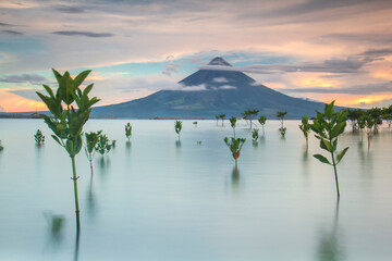 Mayon Volcano with Mangrove sea water in Legazpi Albay Philippines