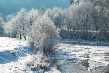 Beautiful winter morning in the forest. River made of ice in winter. fine mist and tree branches. winter view of the river