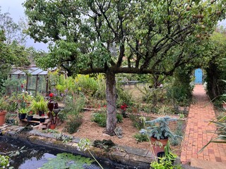 Landscape of beautiful garden in Summer sunshine fish pond on patio, ancient espalier pear fruit tree on mediterranean stone bed, grass lawn flowers and secret door at end of gravel path rose arch 