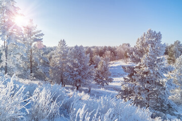 Beautiful winter landscape in clear weather.