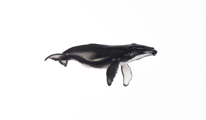 whale figurine isolated on white background