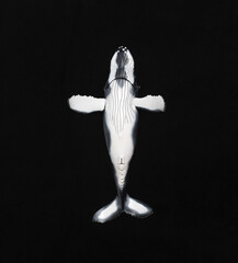whale figurine isolated on black background