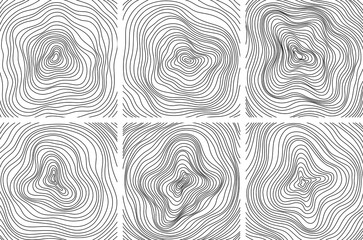 Abstract tree rings. Png topographic map concept background. Thin black lines on white