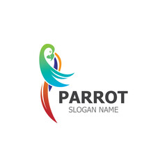 Obraz premium Parrot Logo design, themes animal creative template vector