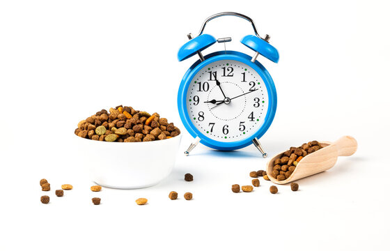  Meal time with bowl full of dry pet food. Isolate.