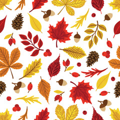 Autumn leaves pattern. Falling leaf seamless background with Oak, maple, chestnut, linden, aspen, walnut and rowan foliage.