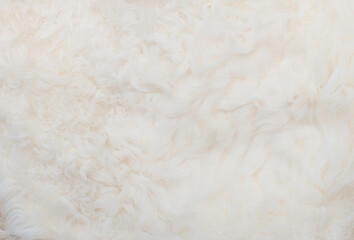 White animal fur. Weasel or cat hair. Fur clothes, white fur coat close up.