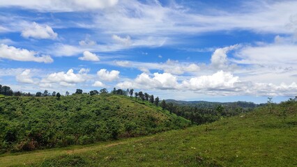 Naklejka premium landscape in the mountains