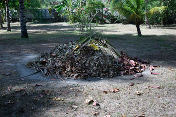 pile of firewood
