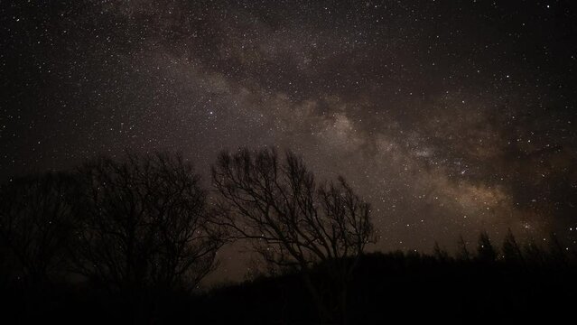 時々黒い雲に覆われながら森の向こう側に立ち昇る天の川銀河のタイムラプス映像（フィックス）