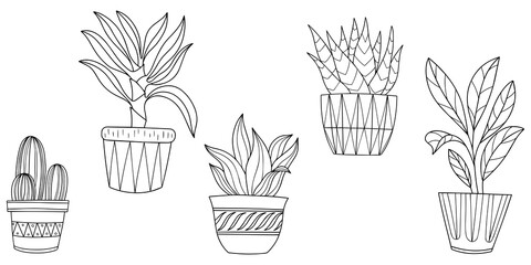 Hand drawn doodle. Houseplants collection. Png interior plants in pots. Png illustration set