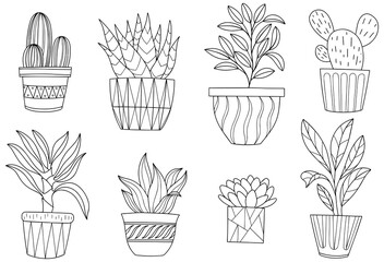 Hand drawn doodle. Houseplants collection. Png interior plants in pots. Png illustration set