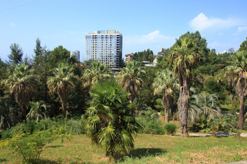 Fototapeta na wymiar a high-rise new building among greenery and beautiful palm trees 