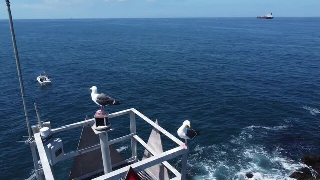 Long Beach Speedboat Races from LBC marina to Catalina Island, California. Epic Race footage.