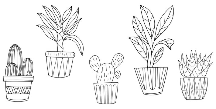 Hand drawn doodle. Houseplants collection. Png interior plants in pots illustration set