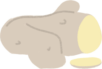 Ginger root clipart image. Natural health care when cold or ill. Spice, vegetable, plant hand drawn clip art.