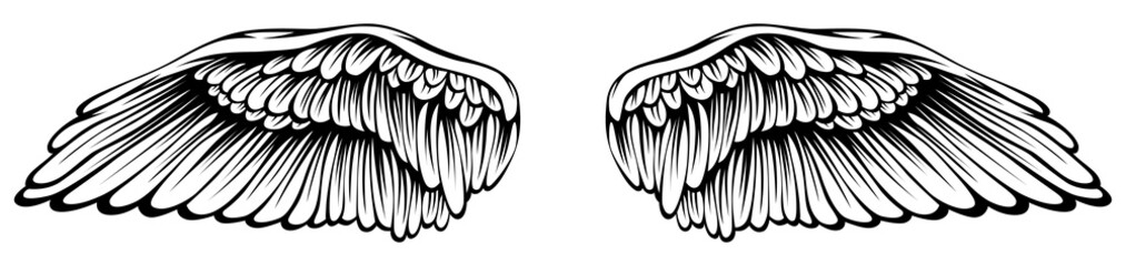 Bird wings png illustration tattoo style. Hand drawn design element.