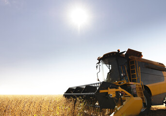 Fototapeta na wymiar Harvesting combine in the wheat.