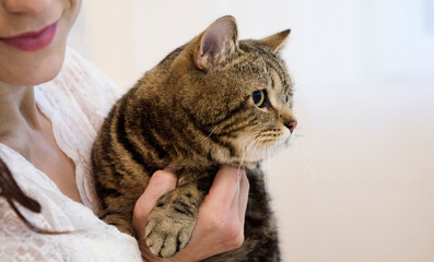 Pets Care.Young woman holding cat home.Cute cat watching from the side