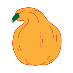 Pumpkin. Vector illustration, isolated on white background.