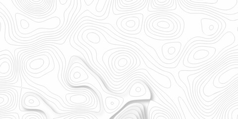 Topographic map background. silver line topography maount map contour background, geographic grid. Abstract vector illustration.
