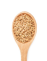 top view or flat lay fenugreek seed in wooden spoon isolated on white background. fenugreek isolated                                                                   