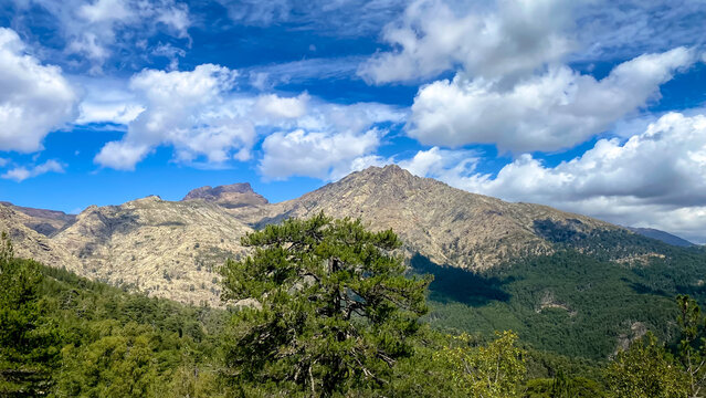 View of stream, trees, boulders and mountains from Cascades de Radule. On the way to the mountains Paglia Orba,  Corsica, France. 
