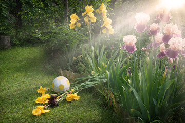 The ball crushed the flowers