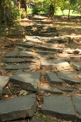 a beautiful path made of stone slabs in the forest
