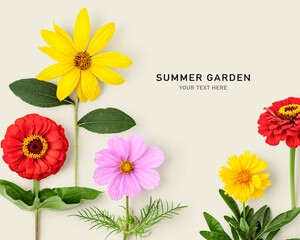 Daisy summer flowers color card - obrazy, fototapety, plakaty