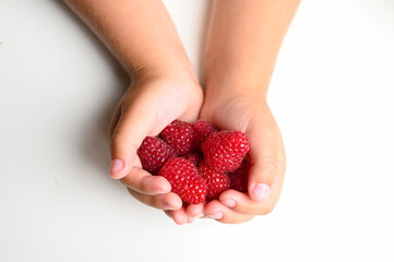 Children's hands hold a handful of raspberry on a white background top view