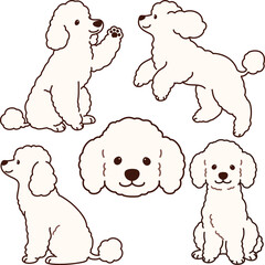Simple and adorable white colored Poodle dog illustrations