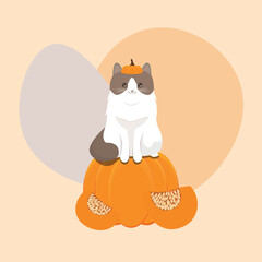 vector with a cat sitting on a pumpkin. cat sits on a pumpkin